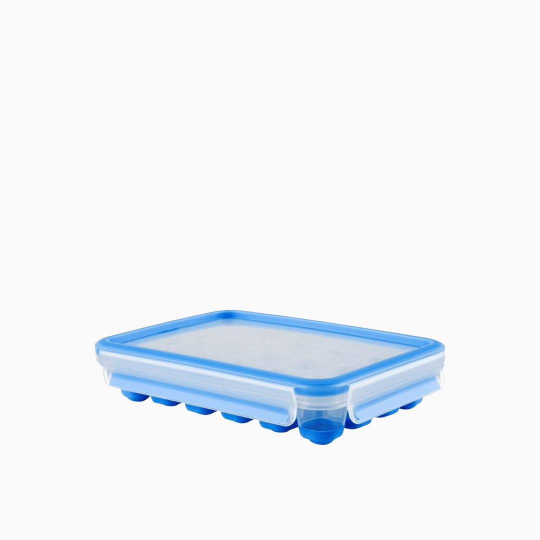 Tefal Masterseal Ice Tray