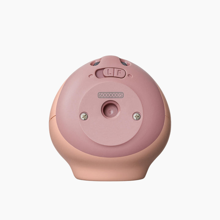 Fujifilm Instax Pal