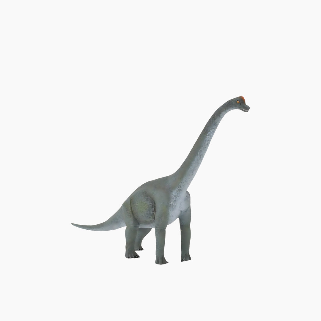 Collecta Brachiosaurus Animal Toy Figure