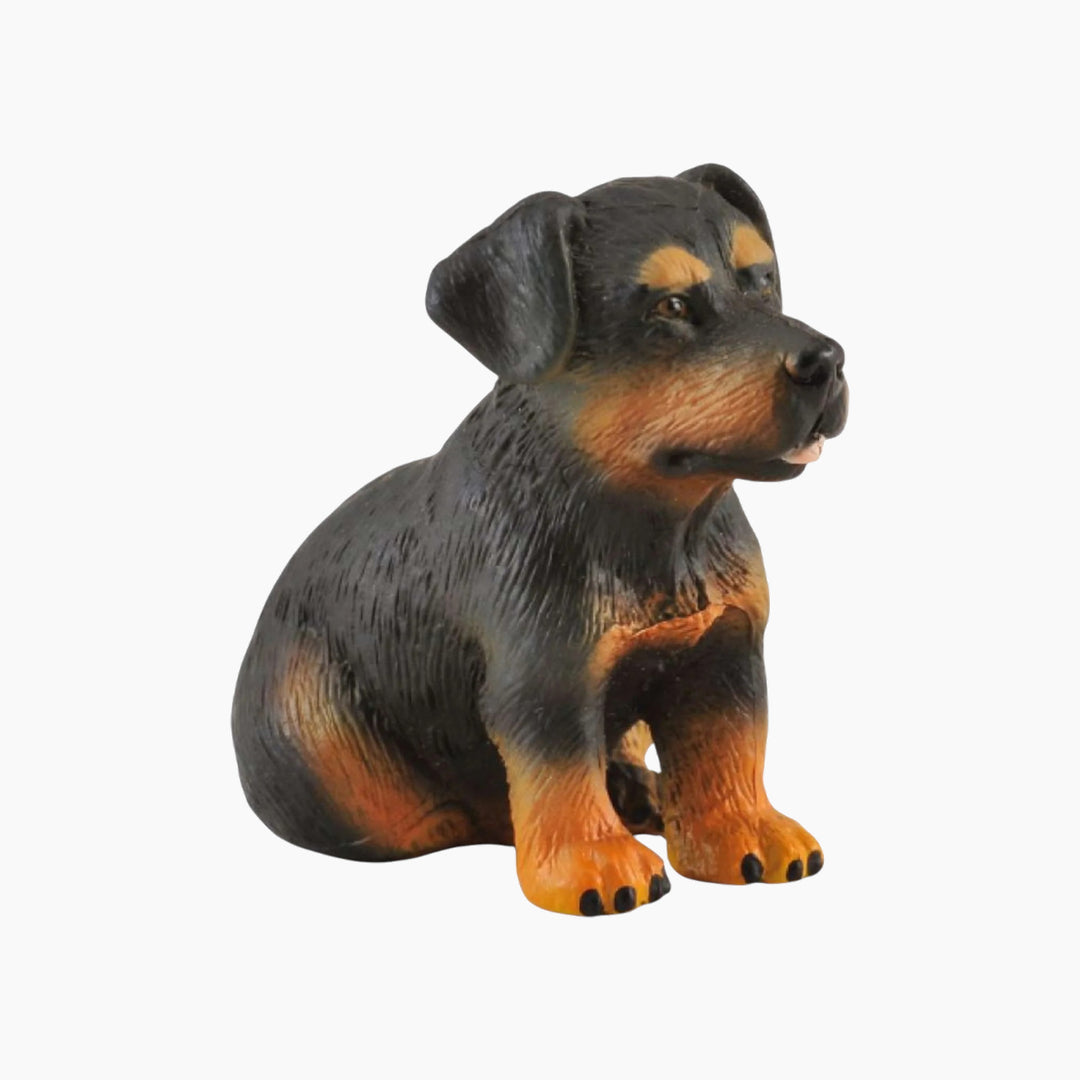 Collecta Rottweiler Puppy Animal Toy Figure