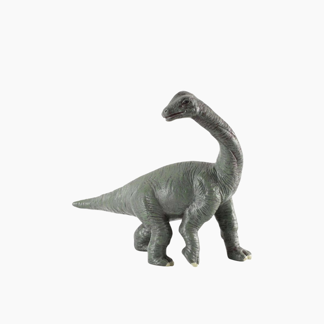 Collecta Brachiosaurus Baby Animal Toy Figure - HUNA