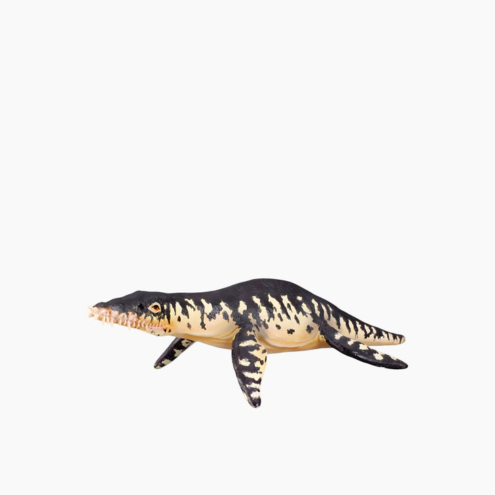 Collecta Liopleurodon Animal Toy Figure - HUNA