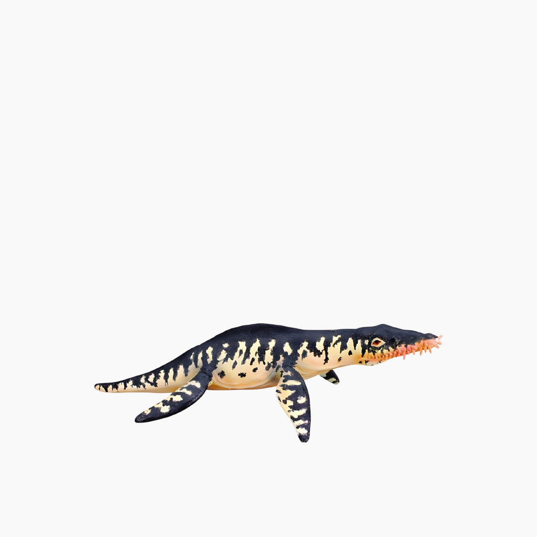Collecta Liopleurodon Animal Toy Figure - HUNA