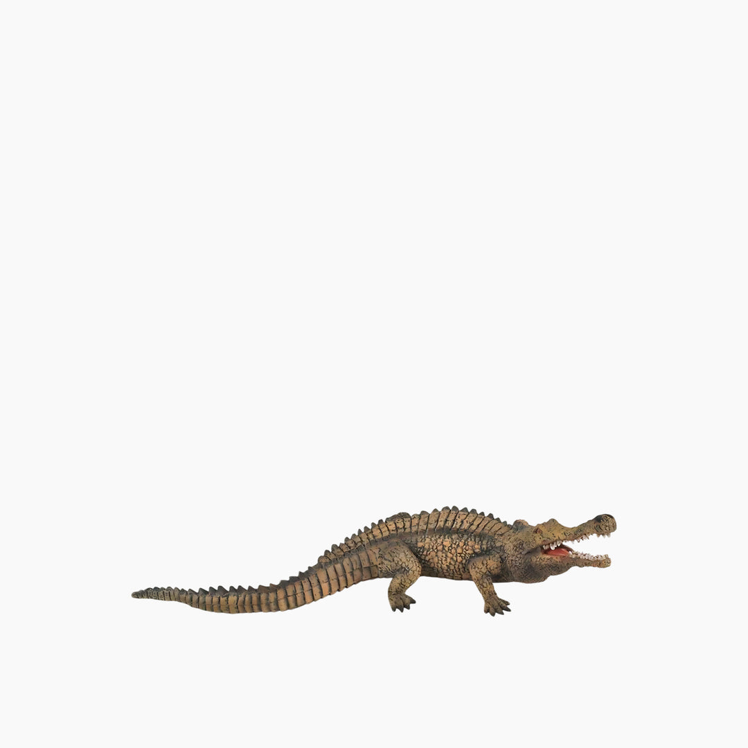 Collecta Sarcosuchus Animal Toy Figure - HUNA