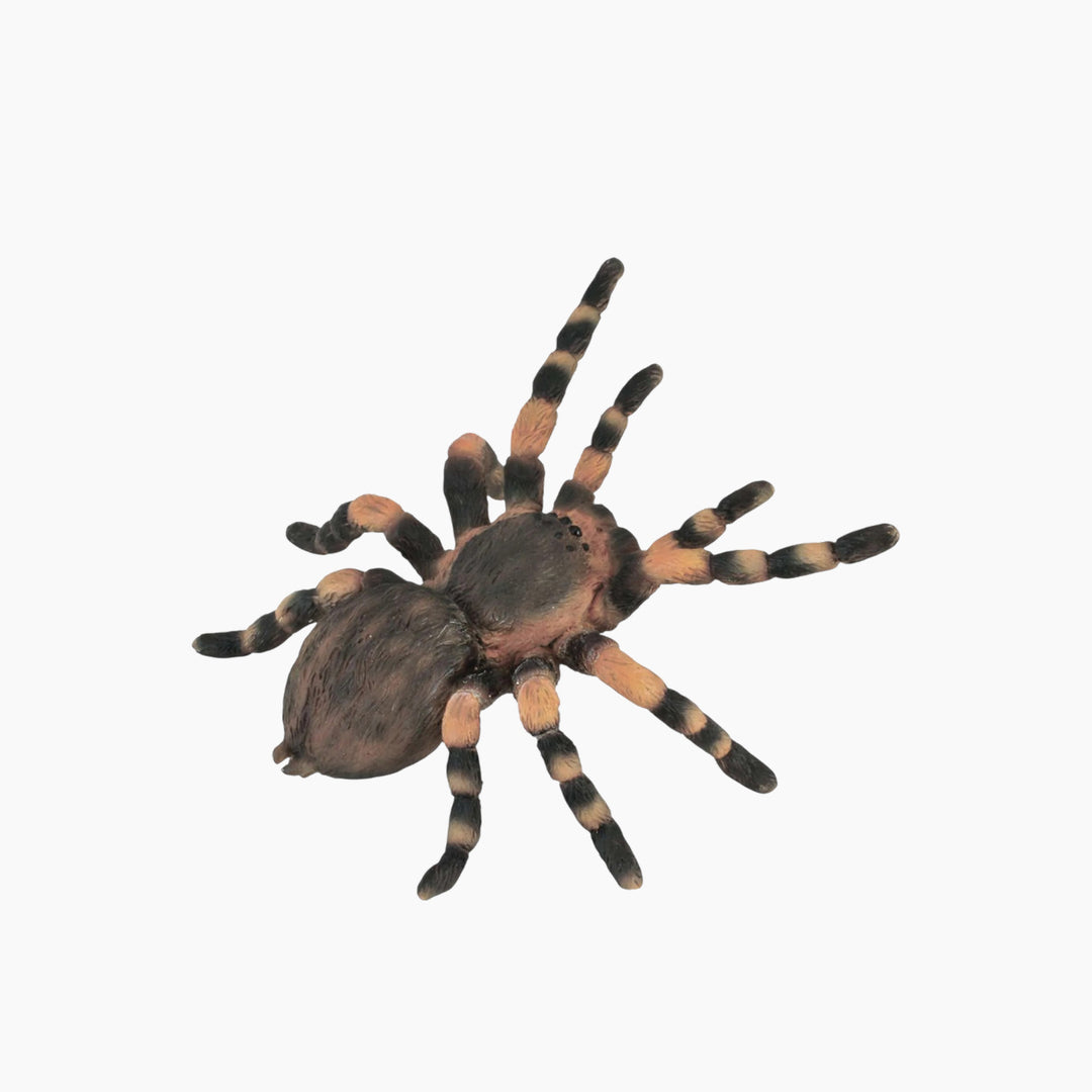 Collecta Mexican Redknee Tarantula Animal Toy Figure
