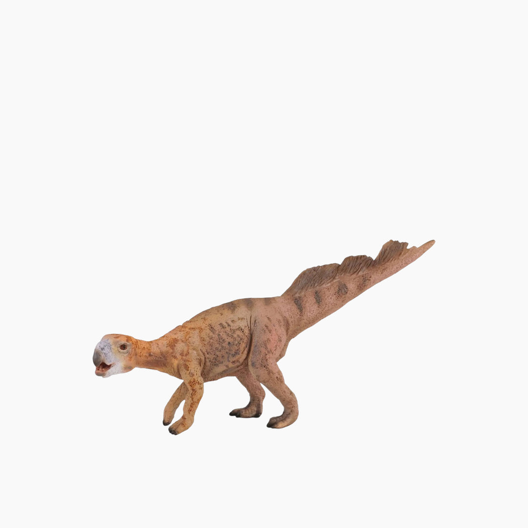 Collecta Psittacosaurus Animal Toy Figure
