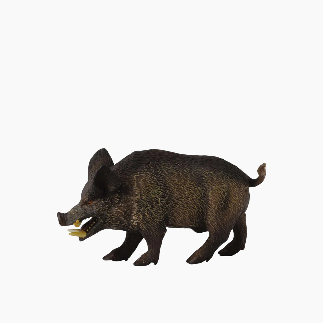 Collecta Wild Boar Animal Toy Figure