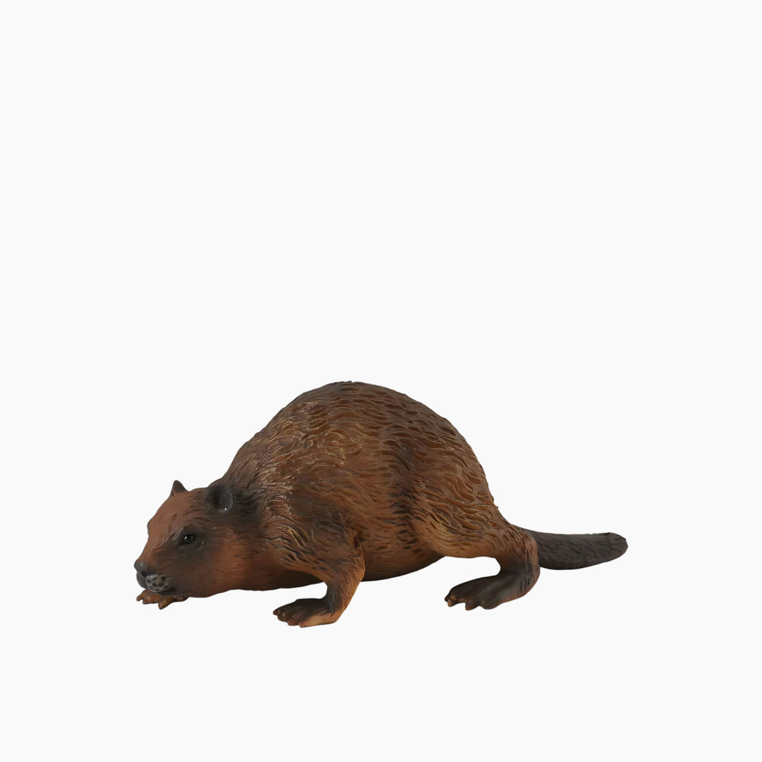 Collecta Beaver Animal Toy Figure