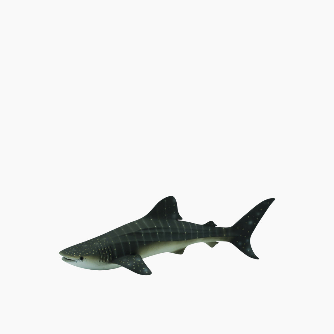 Collecta Whale Shark Animal Toy Figure