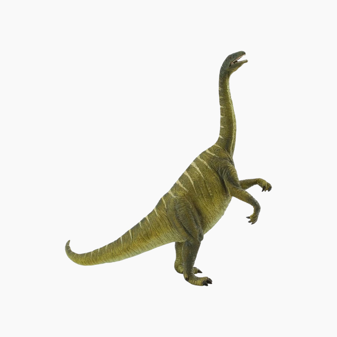 Collecta Plateosaurus Animal Toy Figure