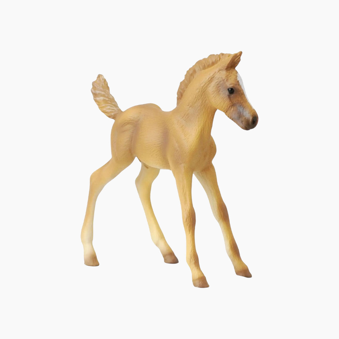 Collecta Haflinger Foal - Standing Animal Toy Figure