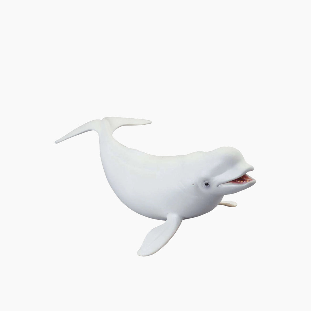 Collecta Beluga Whale Animal Toy Figure