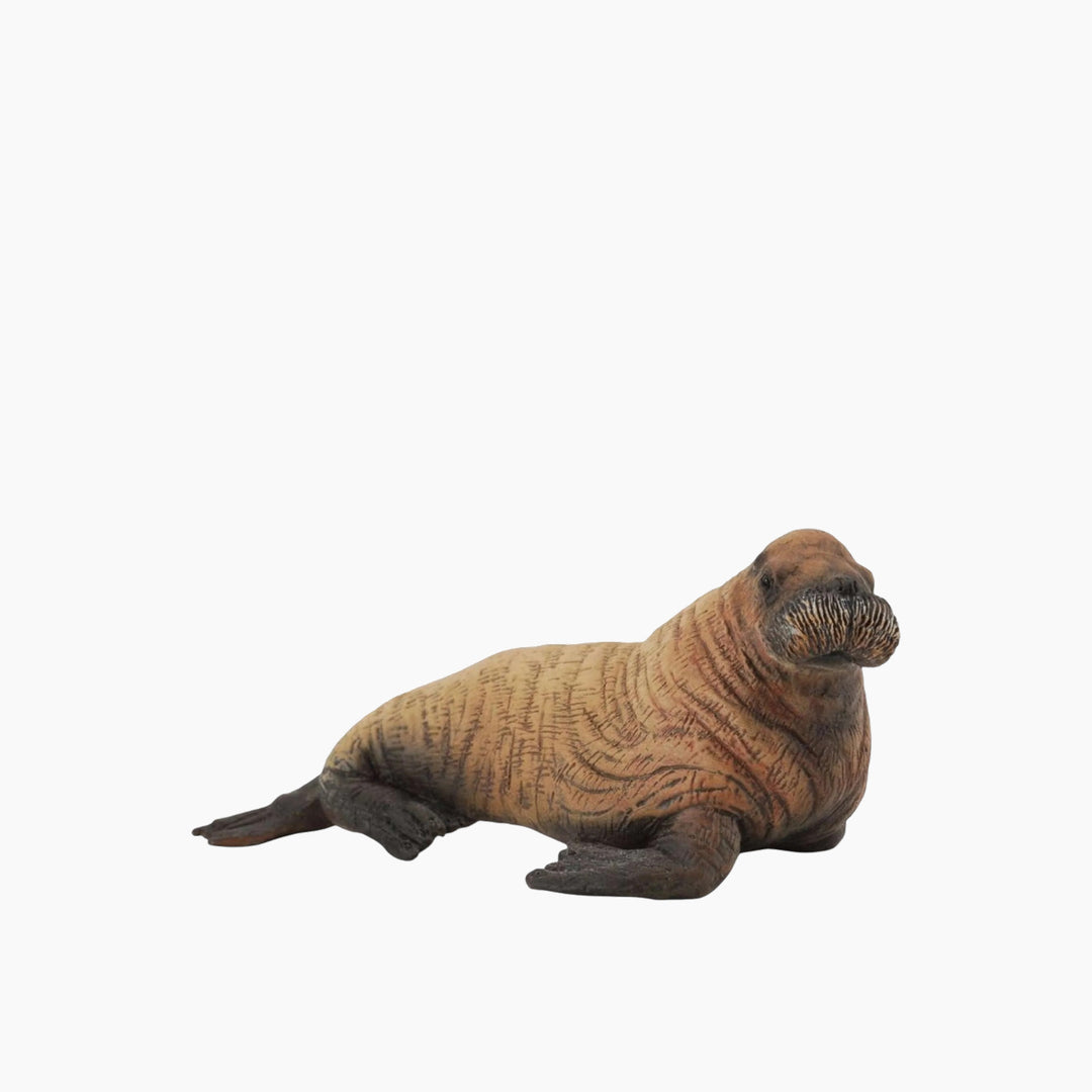 Collecta Walrus Calf Animal Toy Figure