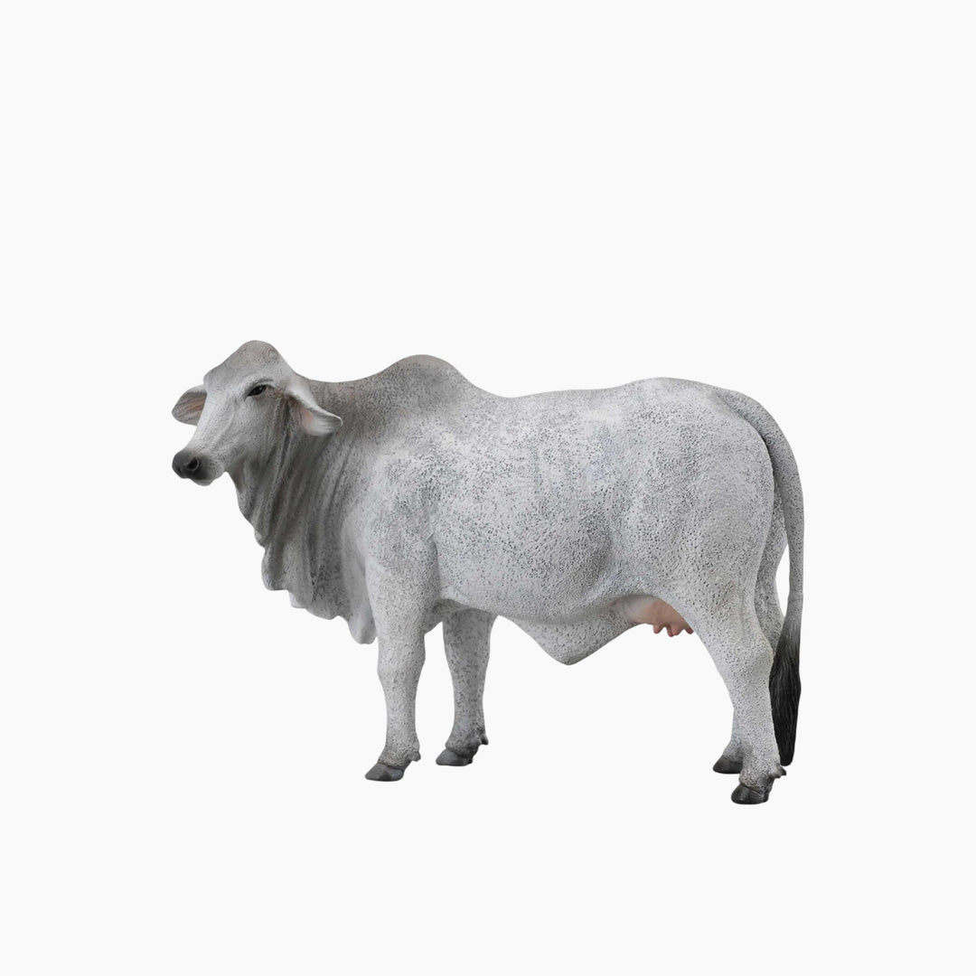 Collecta Brahman Cow Animal Toy Figure