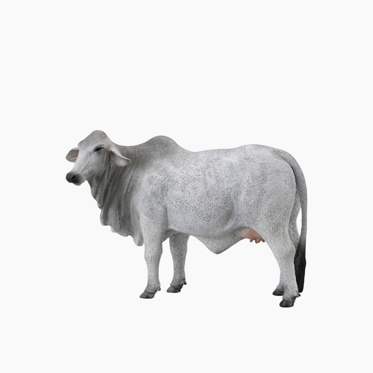 Collecta Brahman Cow Animal Toy Figure