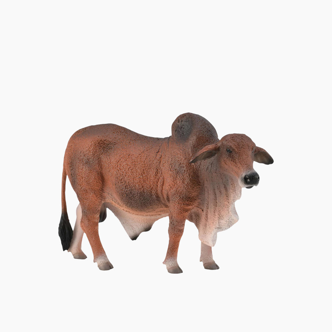 مجسم ثور براهمان أحمر من كوليكتا