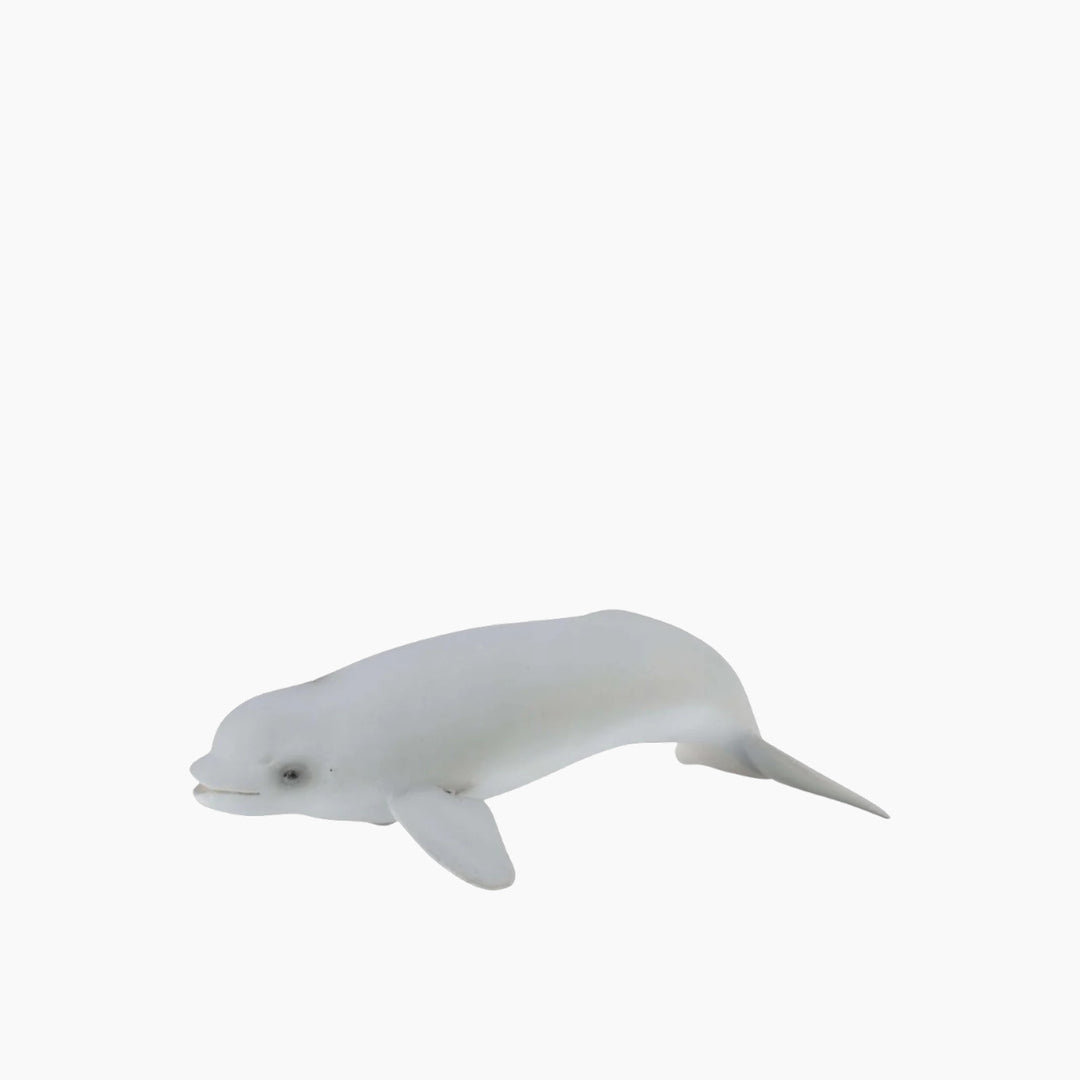 Collecta Beluga Calf Animal Toy Figure - HUNA