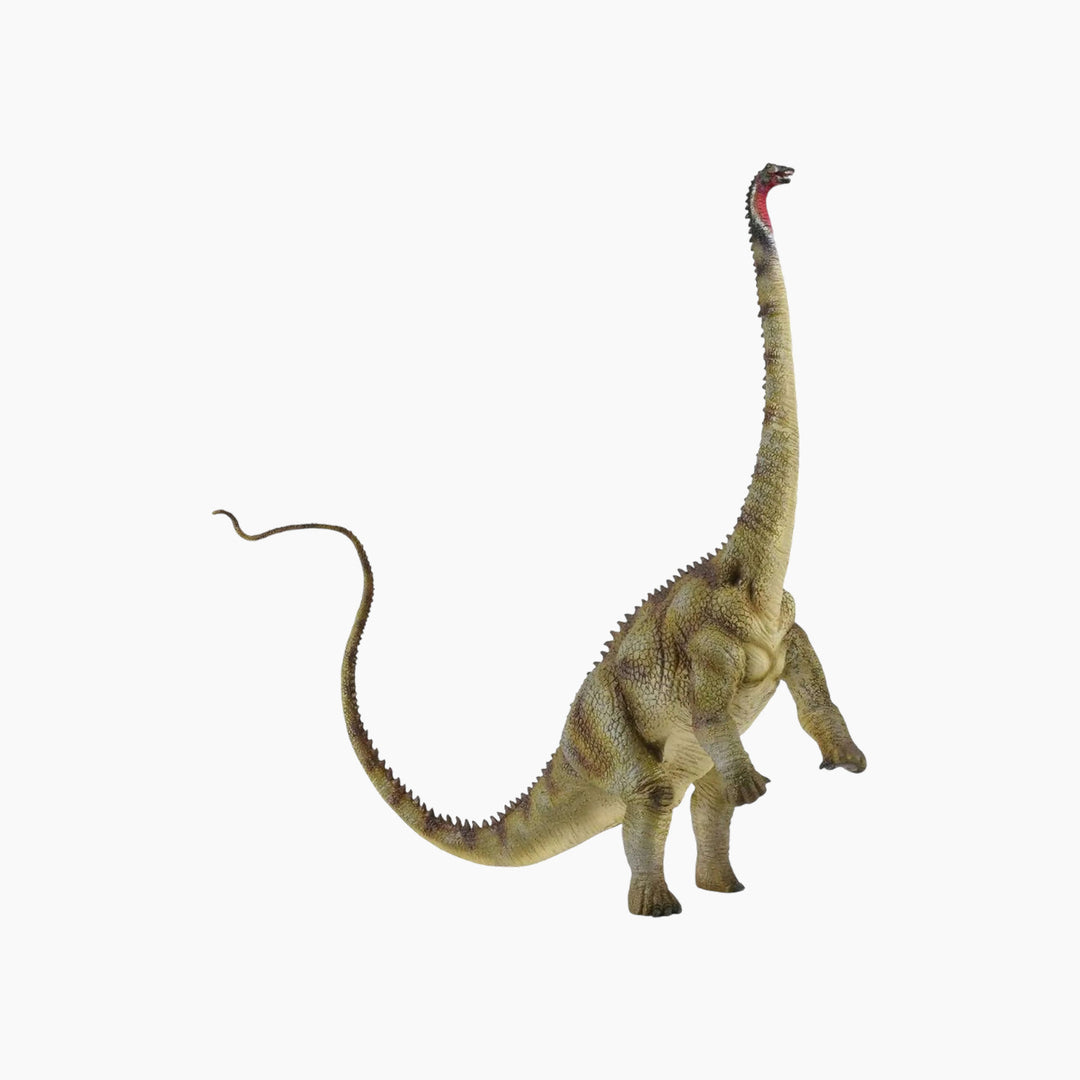 Collecta Diplodocus Animal Toy Figure