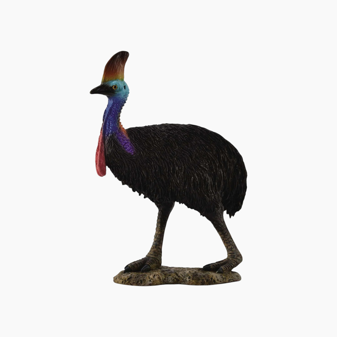 Collecta Cassowary Animal Toy Figure