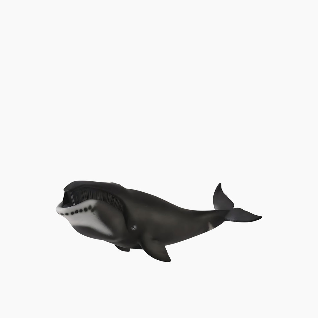 Collecta Bowhead Whale Animal Toy Figure