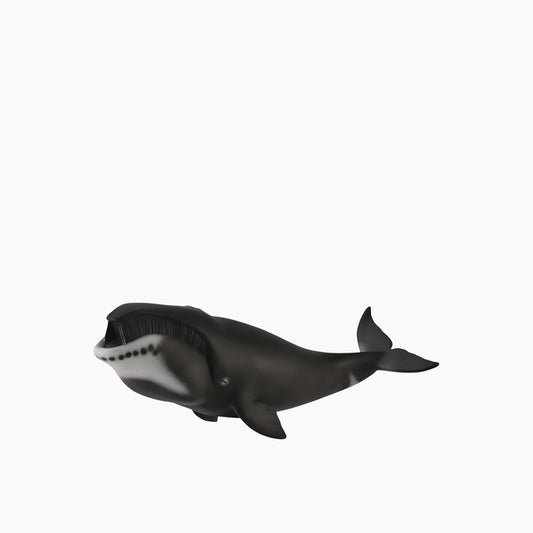 Collecta Bowhead Whale Animal Toy Figure