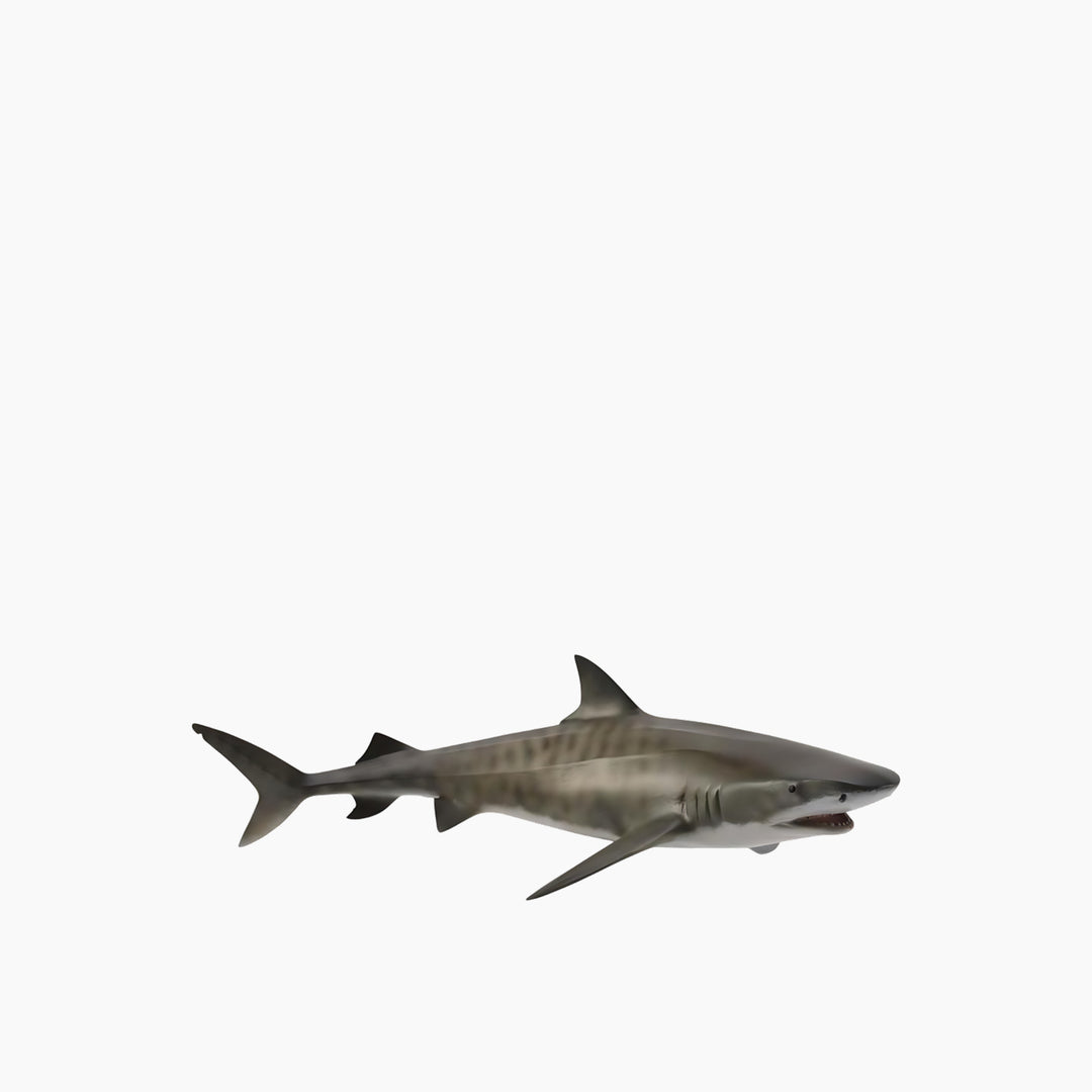 Collecta Tiger Shark Animal Toy Figure