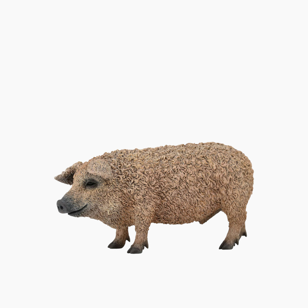 Collecta Hungarian Pig Animal Toy Figure
