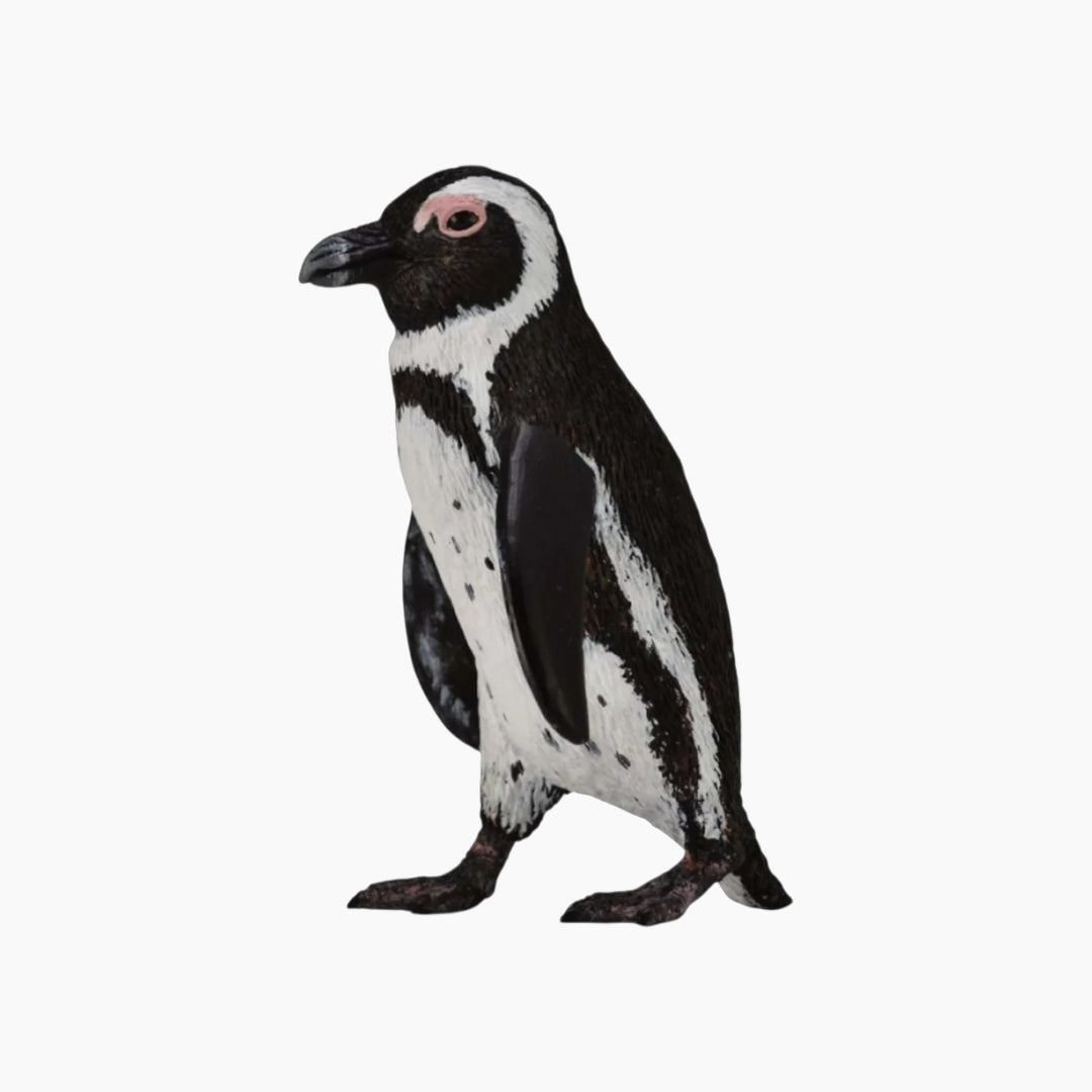 Collecta South African Penguin Animal Toy Figure - HUNA