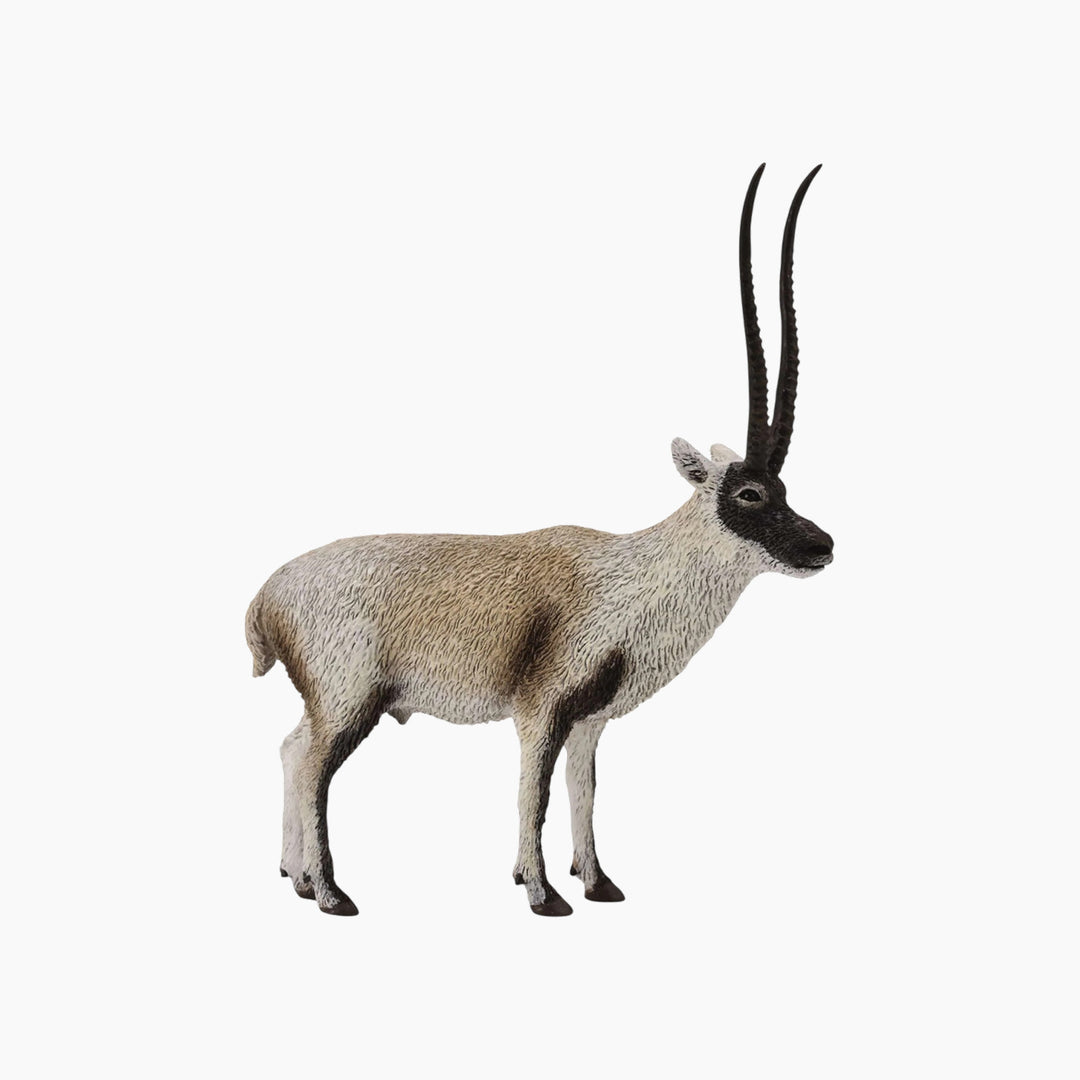 Collecta Chiru Animal Toy Figure