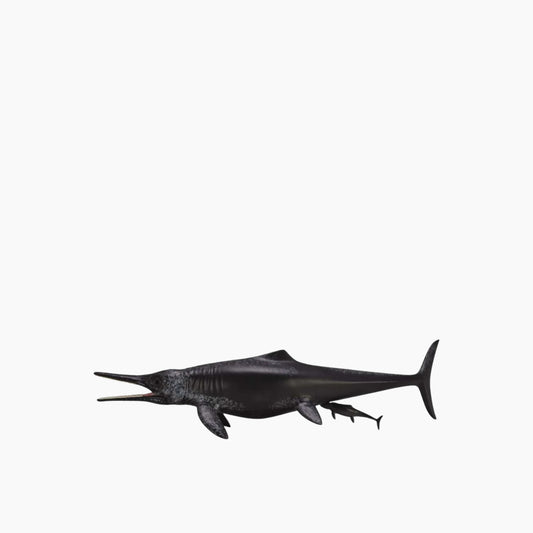 Collecta Temnodontosaurus Platyodon, Birthing Animal Toy Figure