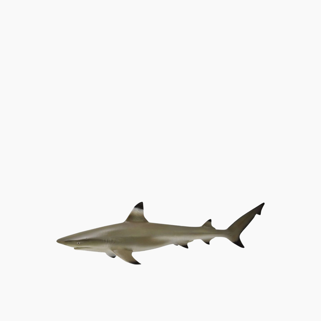 Collecta Blacktip Reef Shark Animal Toy Figure