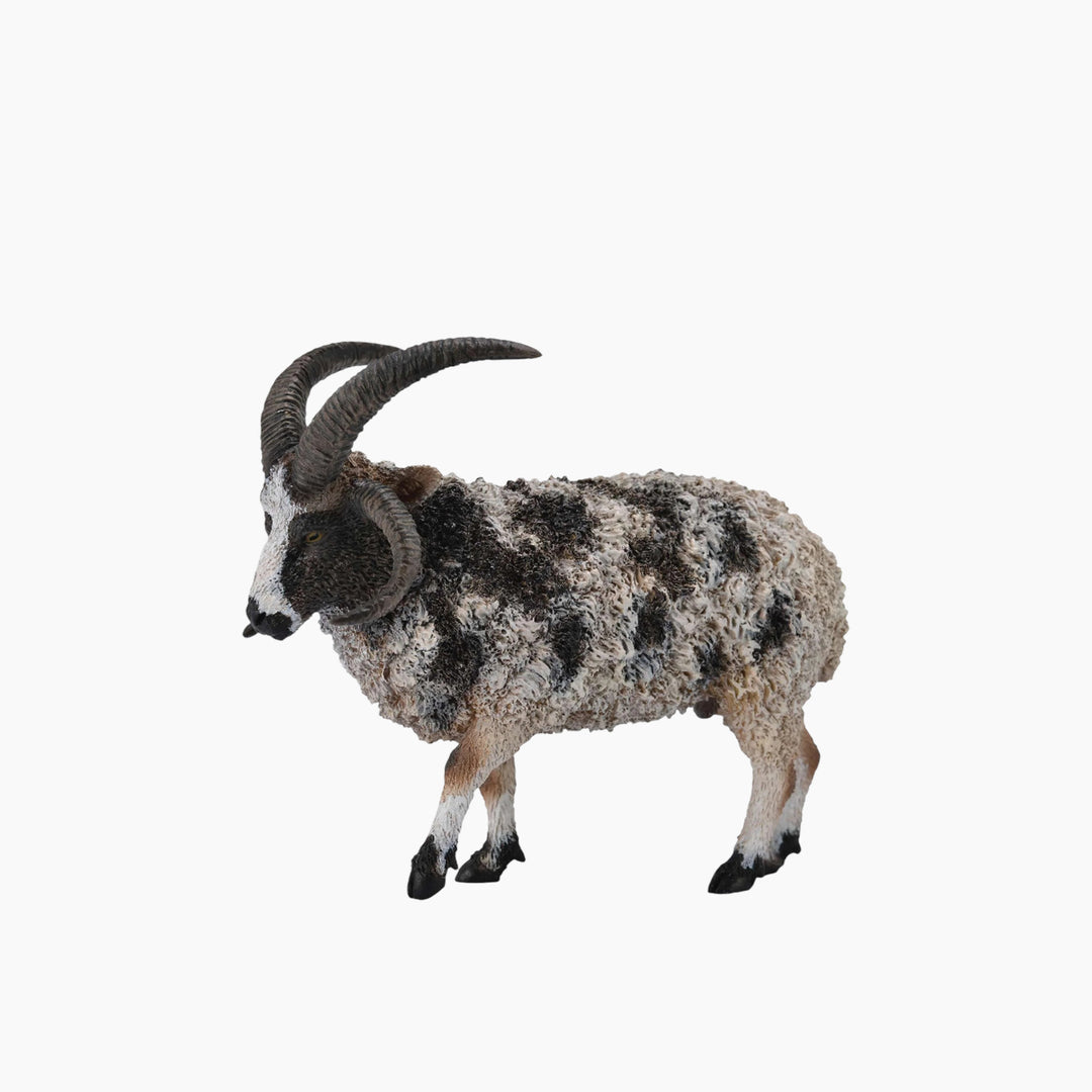 Collecta Jacob Sheep Animal Toy Figure