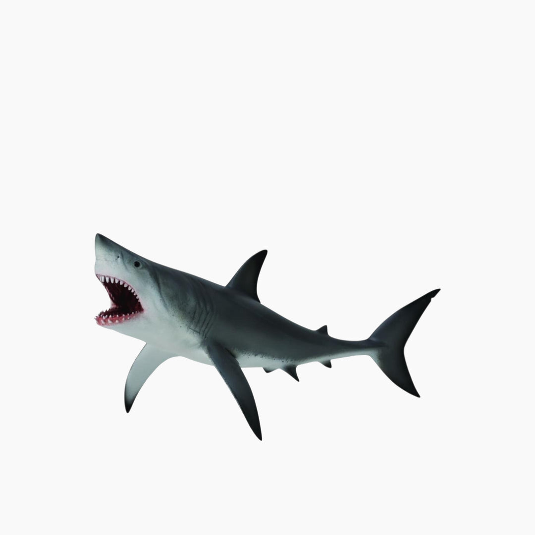 Collecta Great White Shark - Open Jaw Animal Toy Figure
