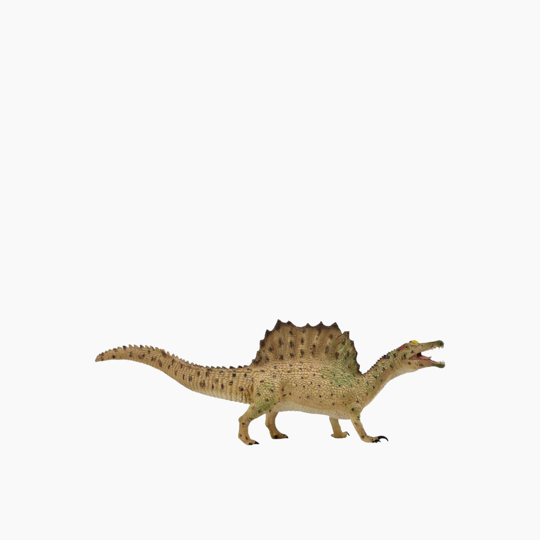 Collecta Spinosaurus ر Walking Animal Toy Figure