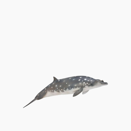 Collecta Blainville's Beaked Whale Animal Toy Figure