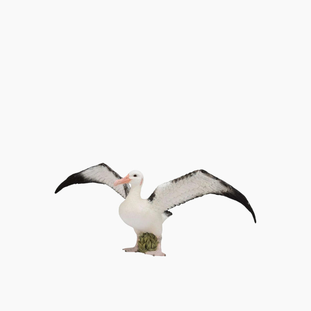 Collecta Wandering Albatross Animal Toy Figure