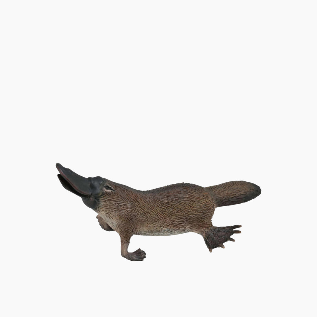Collecta Platypus Animal Toy Figure