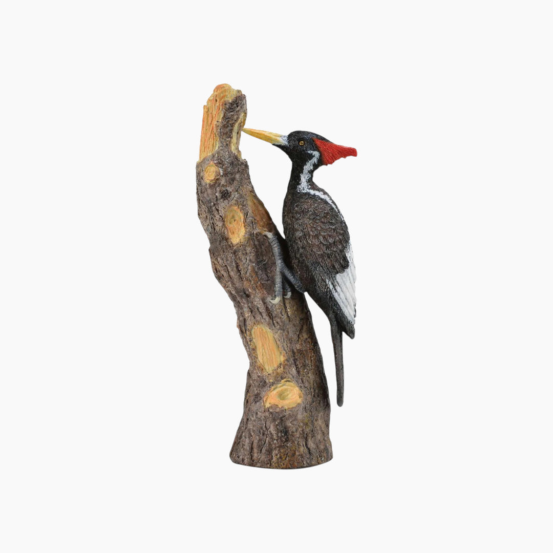 Collecta Ivory-Billed Woodpecker Animal Toy Figure