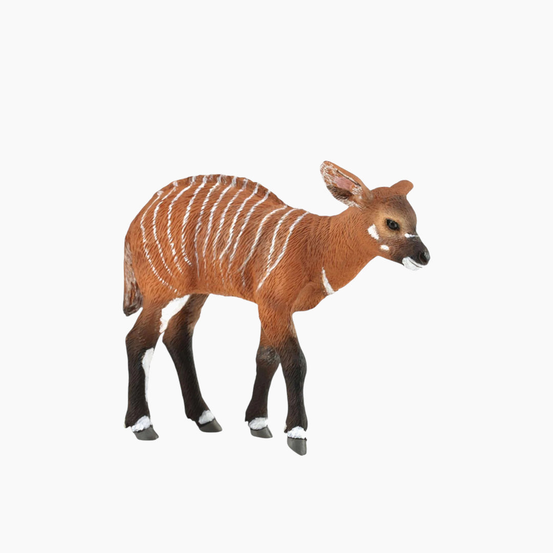 Collecta Bongo Calf Animal Toy Figure