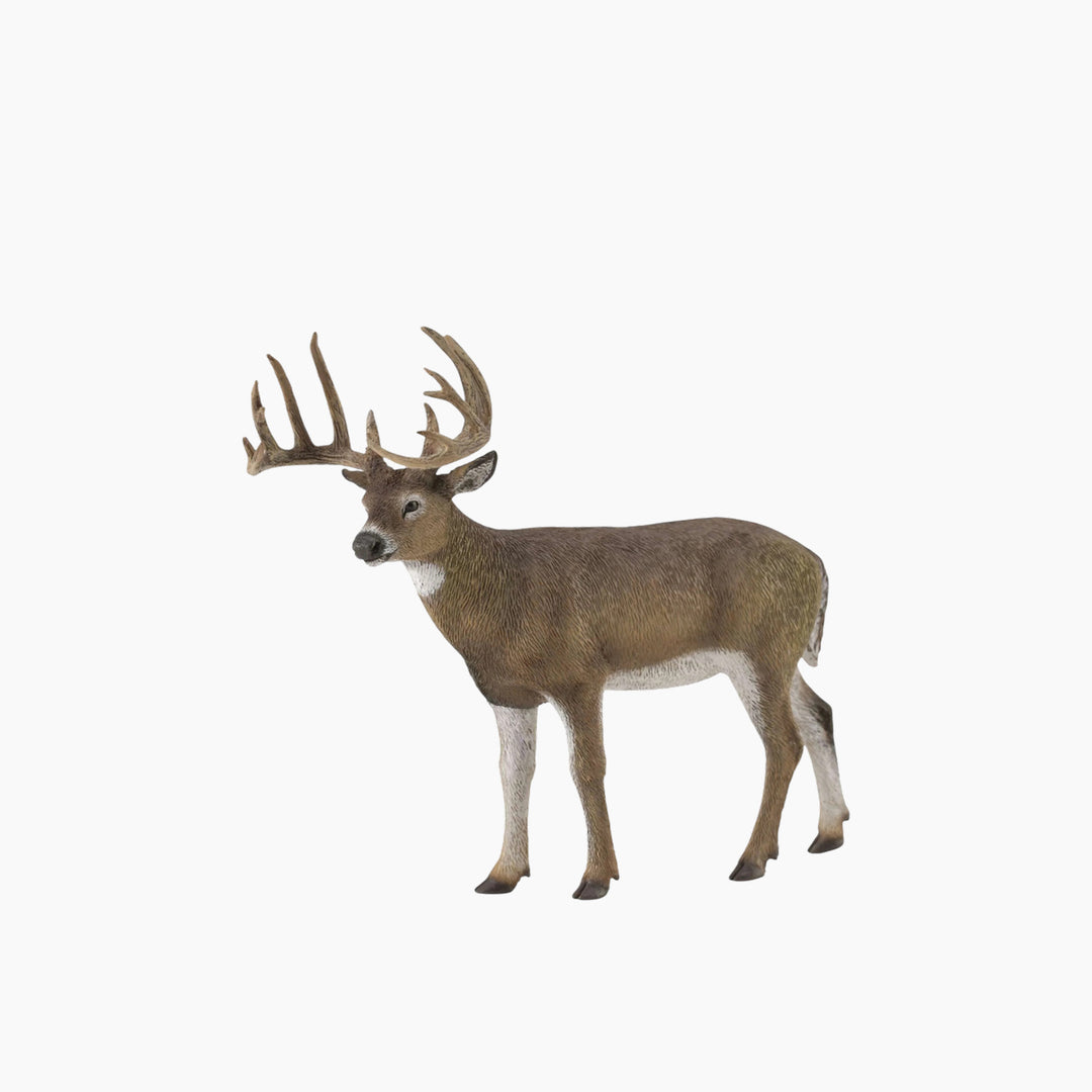 Collecta White-Tailed Deer Animal Toy Figure