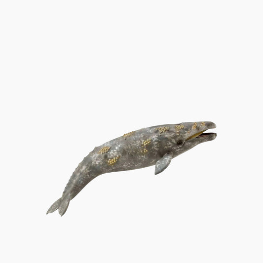 Collecta Gray Whale Animal Toy Figure