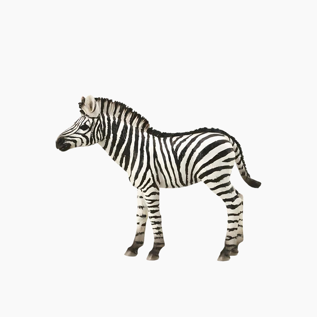 Collecta Zebra Foal Animal Toy Figure