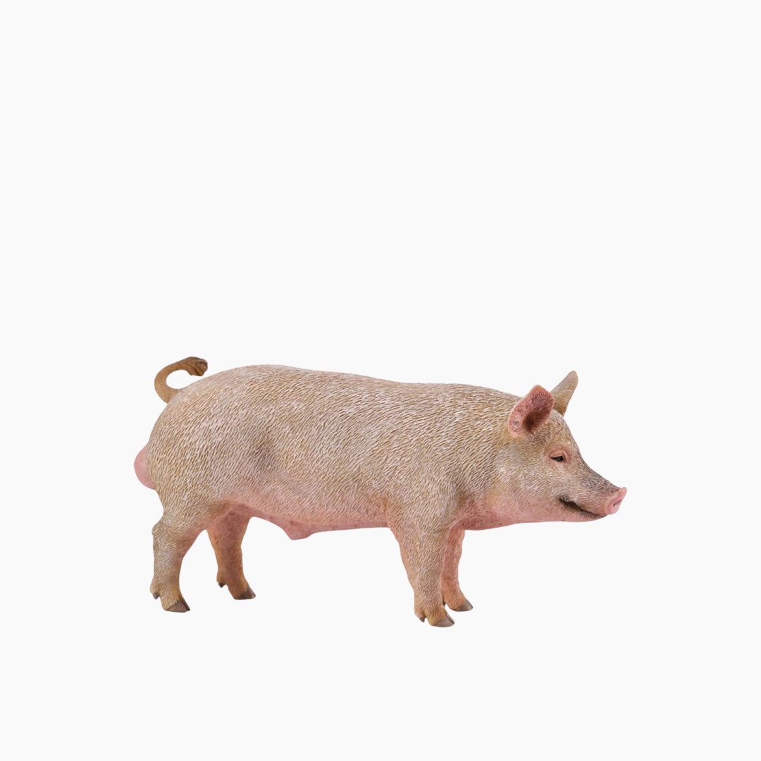 Collecta Boar Animal Toy Figure