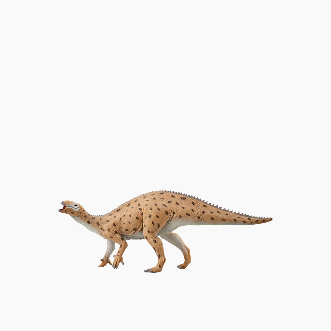 Collecta Fukuisaurus - 1:40 Scale Animal Toy Figure