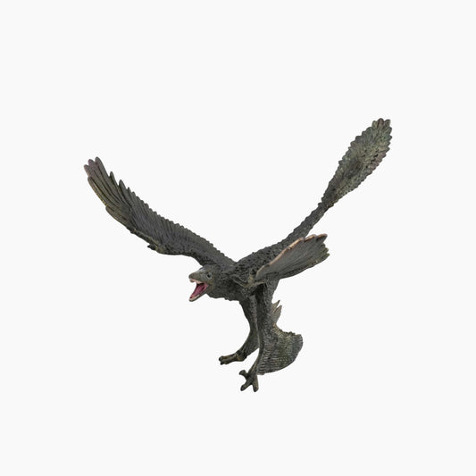 Collecta Microraptor- 1:6 Scale Animal Toy Figure