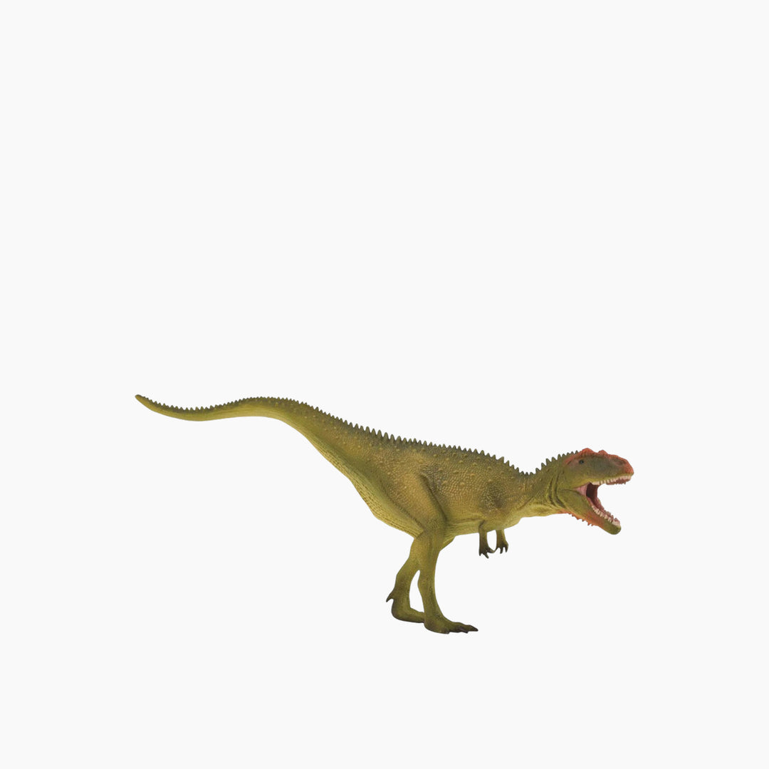Collecta Mapusaurus ر Hunting Animal Toy Figure