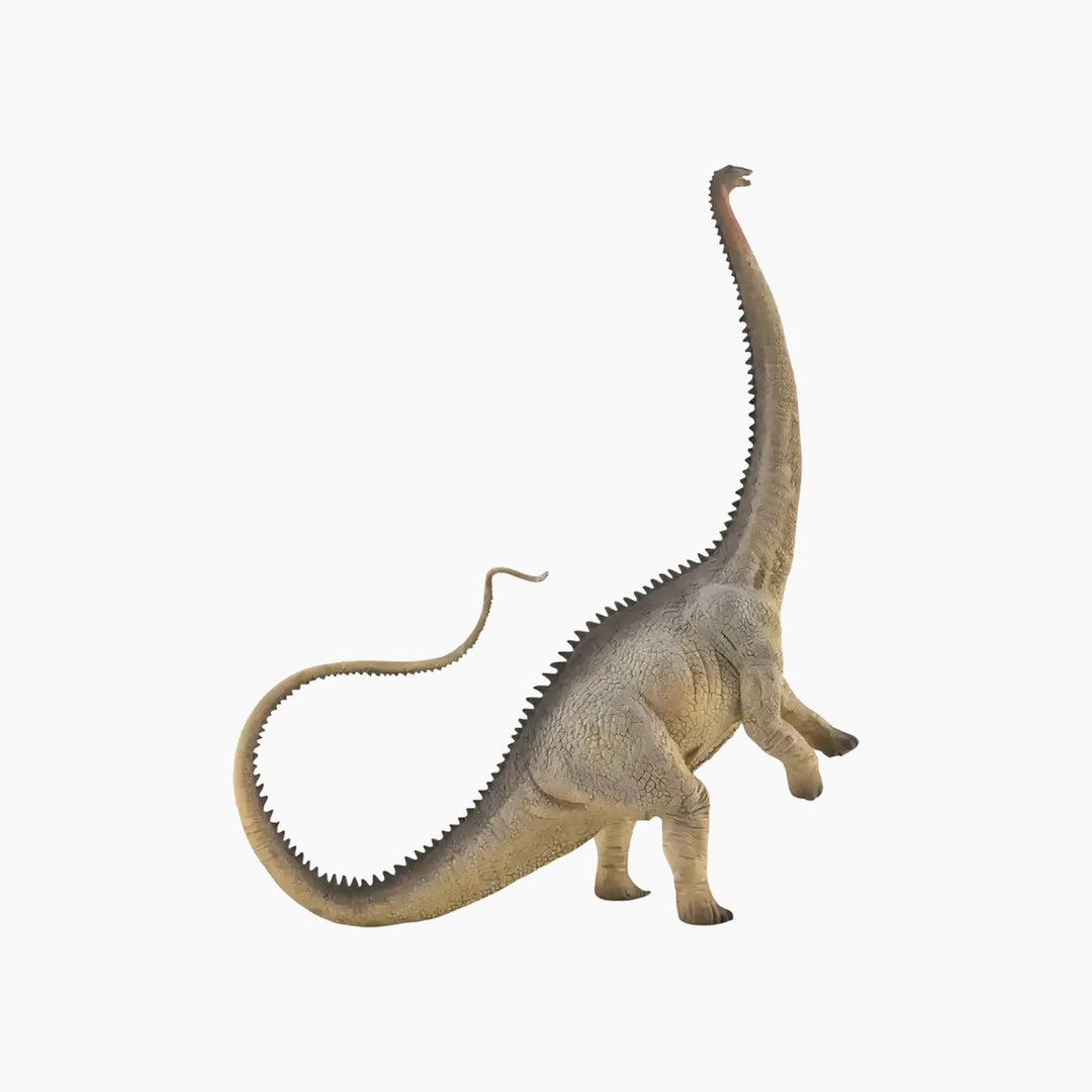 Collecta Diplodocus - Grey Animal Toy Figure