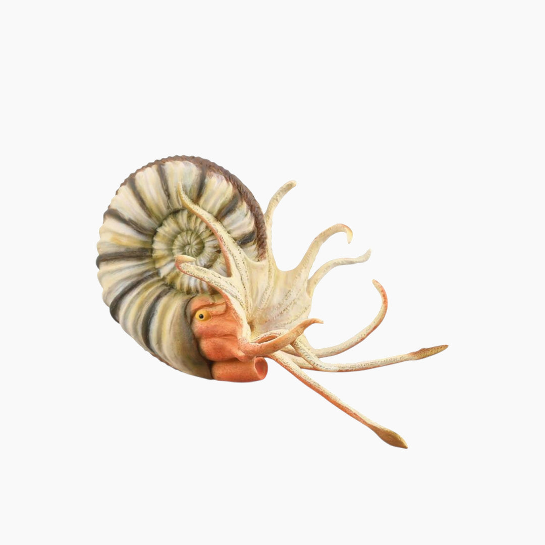 Collecta Pleuroceras Ammonite Animal Toy Figure - HUNA