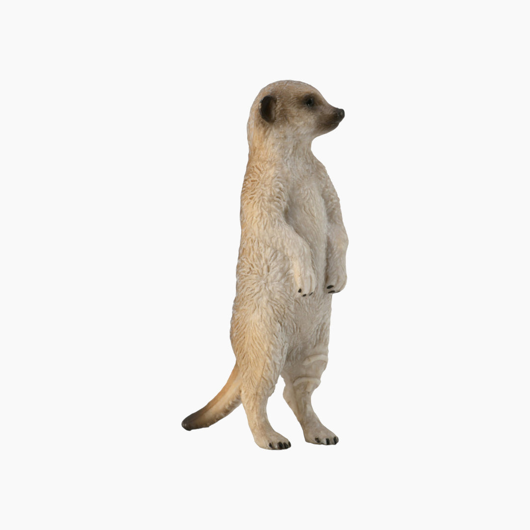 Collecta Meerkat Animal Toy Figure