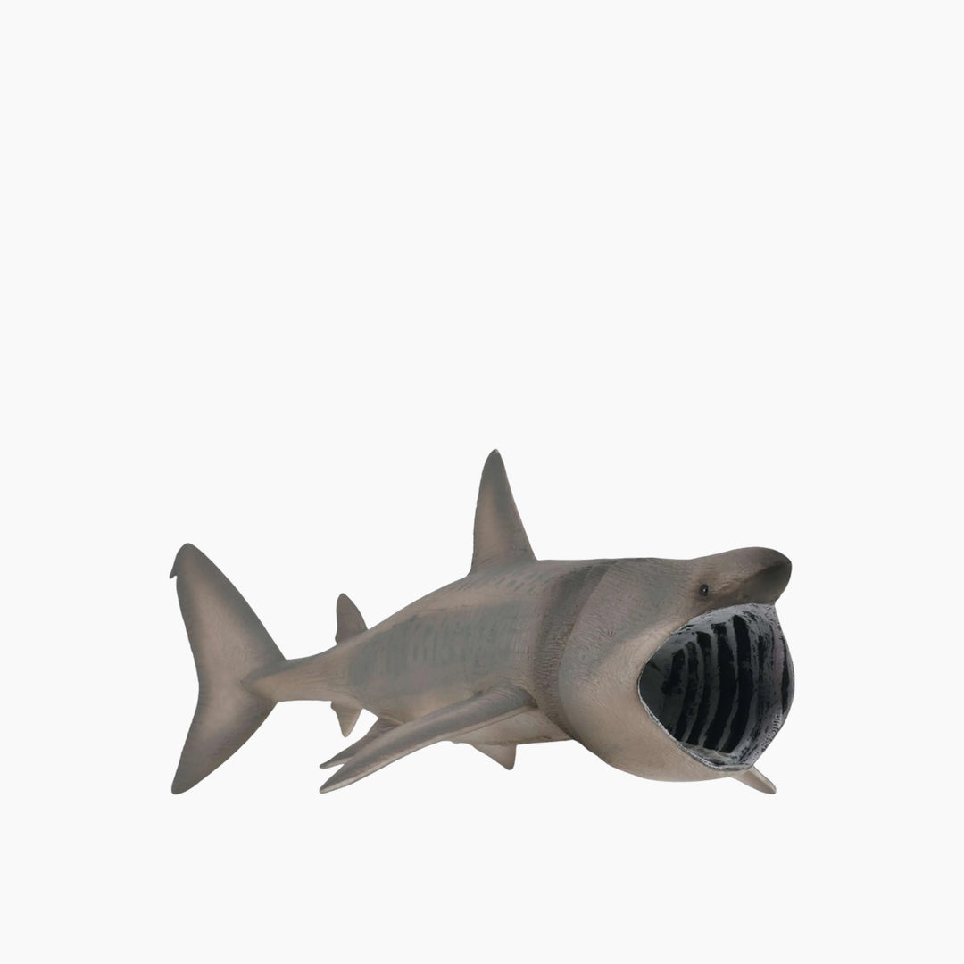Collecta Basking Shark Animal Toy Figure